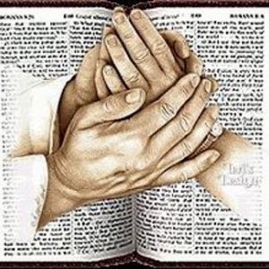 Meet your Posher, Muriel